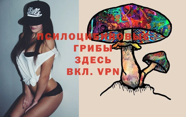 СК Алексеевка
