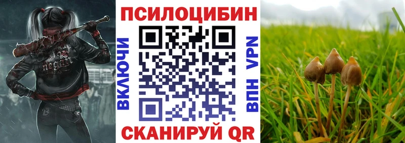 Псилоцибиновые грибы ЛСД  сколько стоит  Сухиничи 